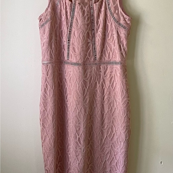 Bebe Body-con Lace Dress Blush Size 6 - Picture 2 of 9